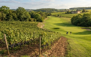Entre vignes et fairways
