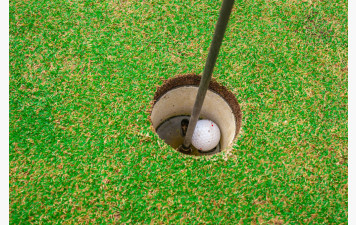 Coupe des jardiniers