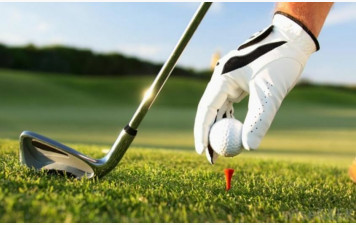 Ringer Days Challenge